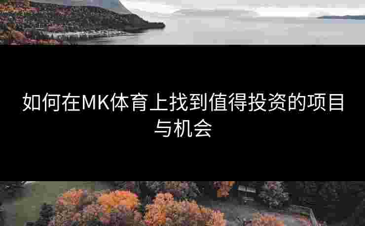 如何在MK体育上找到值得投资的项目与机会
