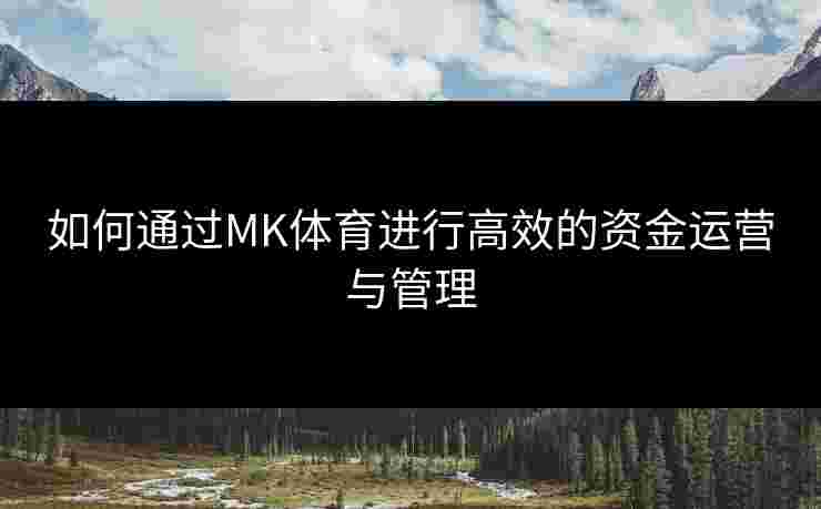 如何通过MK体育进行高效的资金运营与管理