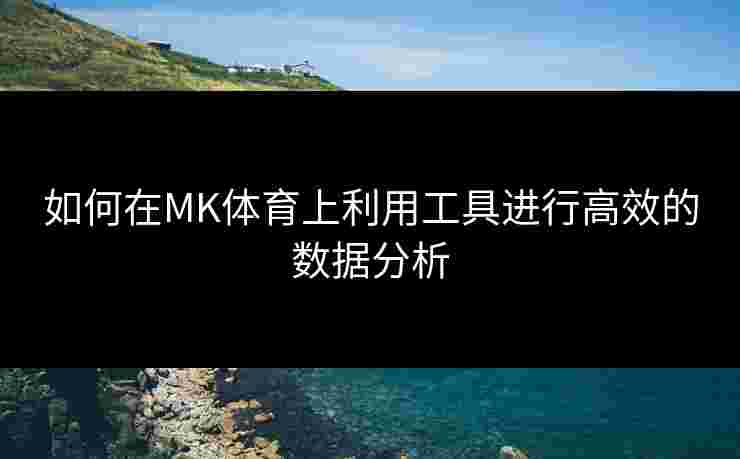 如何在MK体育上利用工具进行高效的数据分析