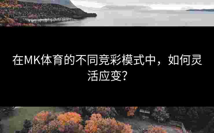 在MK体育的不同竞彩模式中，如何灵活应变？